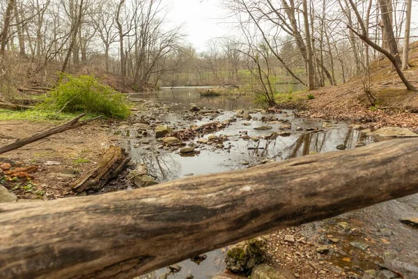 メリーランド州ボルティモアの森に苔と倒木で覆われた岩を流れる川 — ストック写真