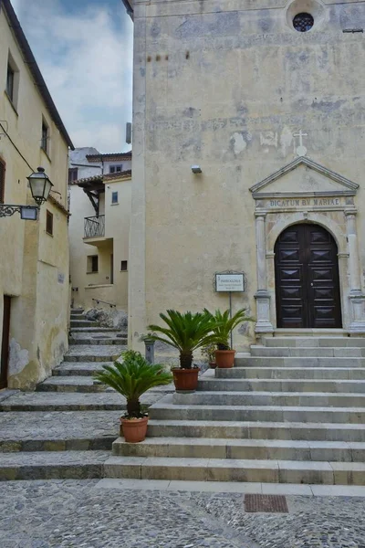 Plan Vertical Entrée Église Entourée Bâtiments Plantes Scalea — Photo