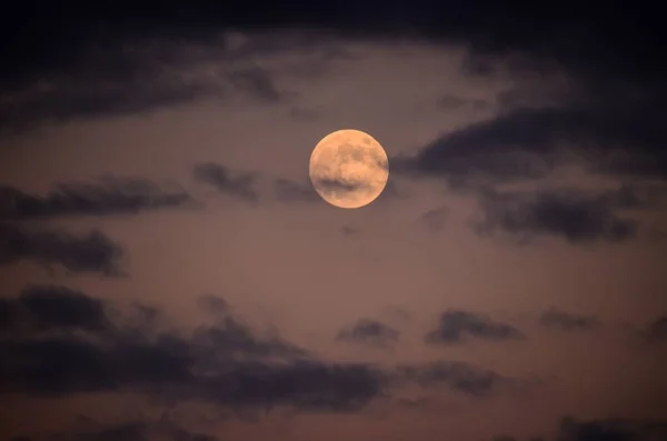 Moon Closeup Holdfelszín Részleteinek Megjelenítése — Stock Fotó