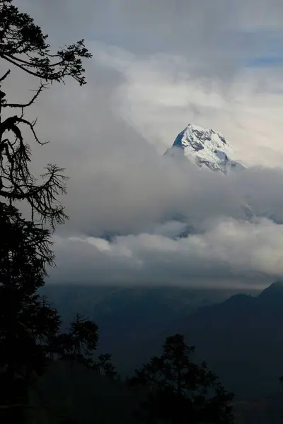 Вертикальний Знімок Вершини Великої Гори Вкрито Хмарами — стокове фото