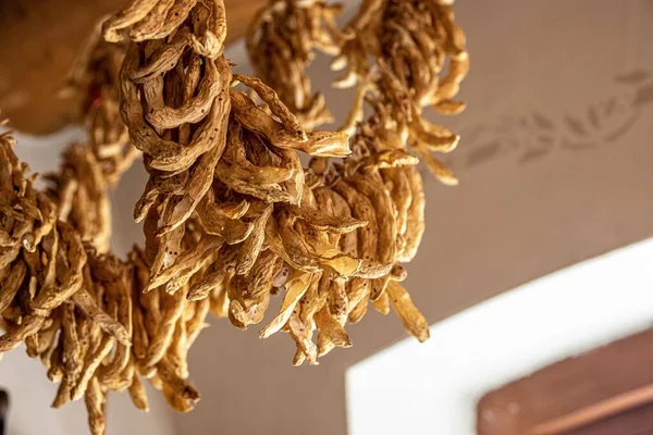 Closeup Dried Beans Hanging Ceiling Room — Stock Photo, Image