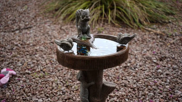 A close-up shot of a bird fountain in the park