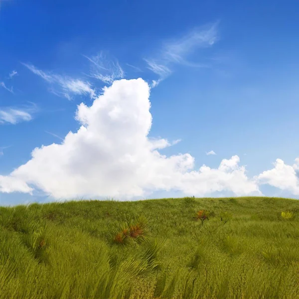 Una Hermosa Vista Campo Con Hierba Fresca Bajo Cielo Azul — Foto de Stock