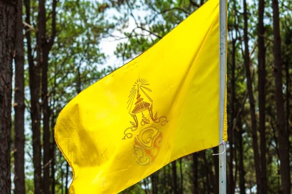 Uma Bandeira Budista Amarela Acenando Poste Uma Floresta Fundo Embaçado — Fotografia de Stock