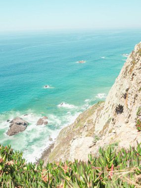 Güneşli bir günde kayalıklarda büyüyen yeşil çalıların yüksek açılı görüntüsü.