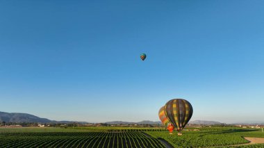 Mavi gökyüzünde uçan sıcak hava balonları olan yeşil tarım arazilerinin güzel panoramik manzarası