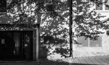 Yerleşim yerinin duvarındaki ağaçların gölgesinin gri tonlu bir görüntüsü.