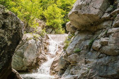 Olimpos Dağı 'ndaki 