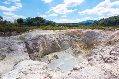 Kuzey Adası, Yeni Zelanda 'daki Waiotapu' da güzel bir kaya ve orman manzarası.
