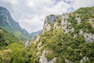 Olimpos Dağı 'nın doğu yamaçlarında güneşli bir günde bitki örtülü kanyonlar manzarası.