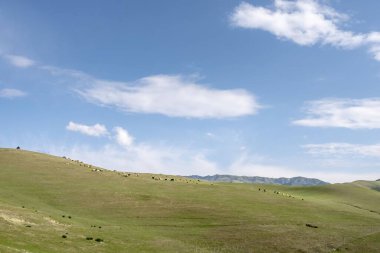 Bulutlu gökyüzünün altında güzel bir manzara.