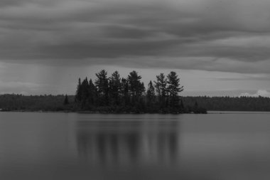 Bulutlu gökyüzünün altında, gölün kenarındaki bir tarladaki ağaçların gri tonlu görüntüsü.