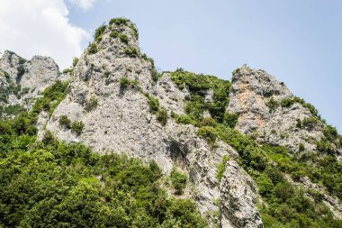 Güneşli bir günde, Olimpos Dağı 'nın doğu yamaçlarında bitki örtülü bir Kanyon manzarası.