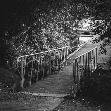 Doğadaki küçük bir rıhtımın gri tonlu görüntüsü.