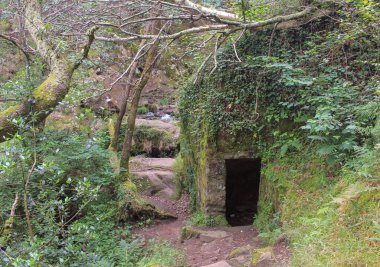 Doğanın ortasında taşın altında bir kapı bulduk ve suya yakın bir yere düştü.