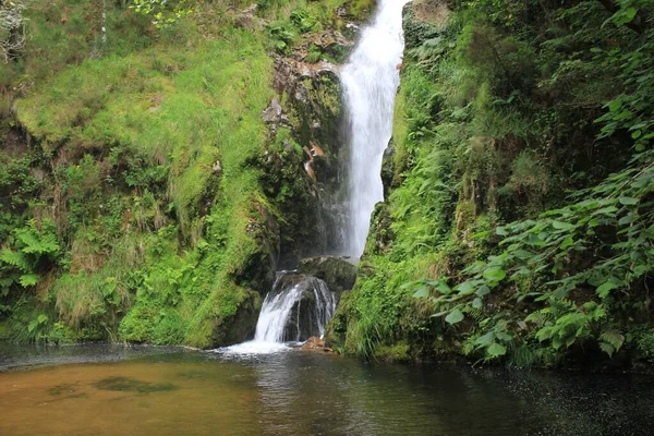 Meio Floresta Uma Cachoeira Com Lago Com Água Fria Transparente — Fotografia de Stock