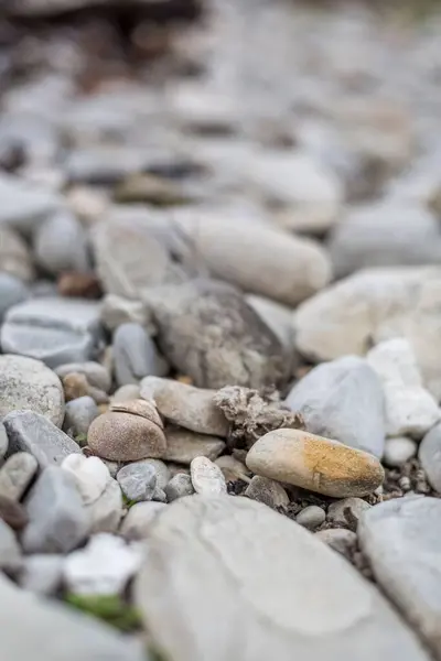 Tiro Foco Seletivo Pedras Seixos Praia — Fotografia de Stock