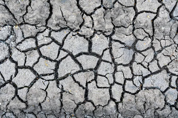 農業機械のトレッドの痕跡を持つ未舗装の農村道路の乾燥亀裂表面 テクスチャ — ストック写真