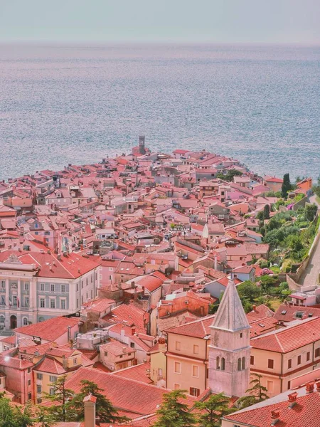 Una Ciudad Con Vistas Liubliana Eslovenia —  Fotos de Stock