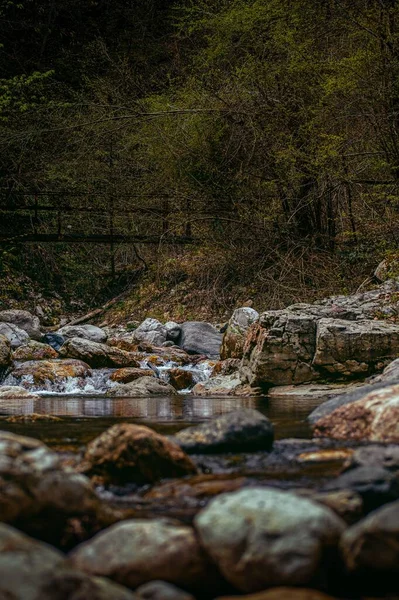 Eine Vertikale Landschaft Aus Felsigem Bach Einem Grünen Wald — Stockfoto