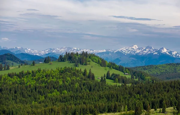 Landscape Rodna Mountains Seen Tihuta Pass Romania Spring — Stock Photo, Image