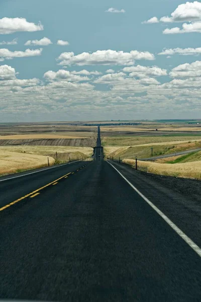 蓝色阴天背景下 一条穿过黄色田野的长沥青路面的垂直截图 — 图库照片