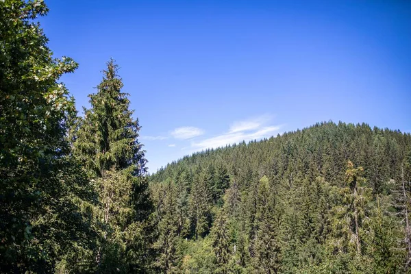 Árvores Com Montanha Floresta Negra Sob Céu Azul — Fotografia de Stock