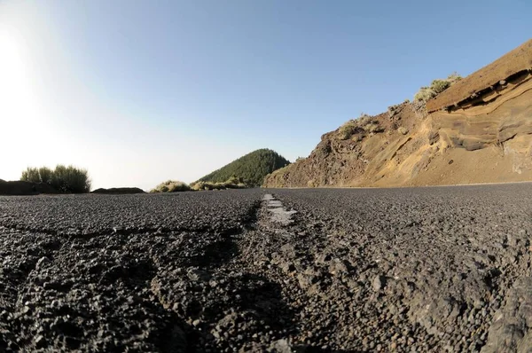 One Lonely Road Desert Tenerife Spain — Stock Photo, Image