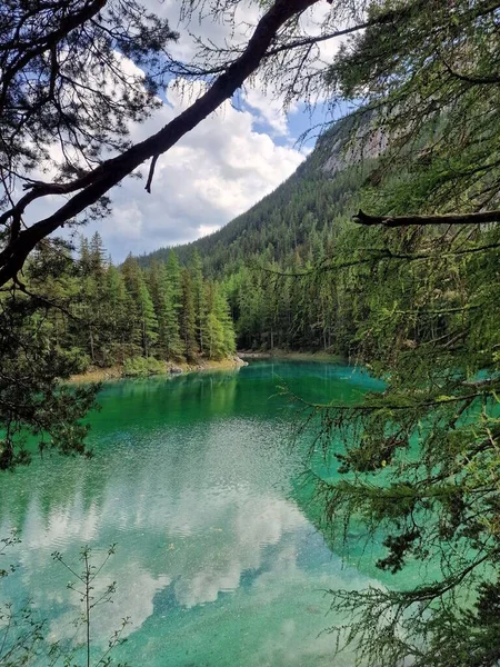 Plano Vertical Una Montaña Con Pinos Reflejándose Lago Primer Plano — Foto de Stock