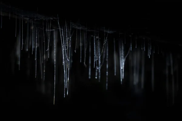 Closeup Shot Icicles Dripping Dark Forest — Stock Photo, Image