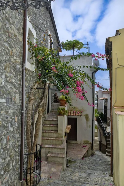 Ein Altes Dorf Und Eine Enge Straße Scalea Kalabrien Italien — Stockfoto