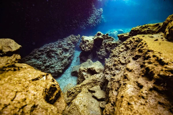 Prachtige Natuur Van Oceaan Onder Water — Stockfoto