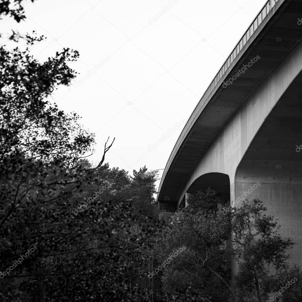 A grayscale shot of a bridge surrounded by vegetation