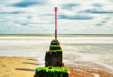 Mavi gökyüzünün altındaki kumsalda çimen kaplı taşların güzel manzarası.