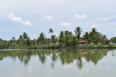 Hindistan, Kerala 'daki Munroe Adası' nda tekneli su üzerinde evleri olan palmiye ağaçlarının yansıması.