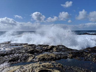 Point Lobos okyanus dalgaları kıyı şeridine çarpıyor.