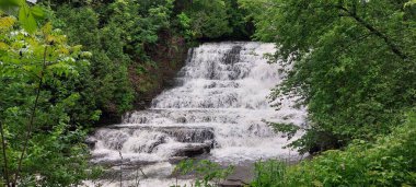 bir ormandaki küçük bir şelale