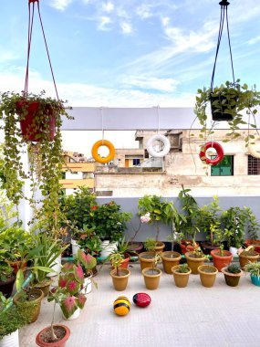 Bir sürü saksısı olan bir çatı balkonu.