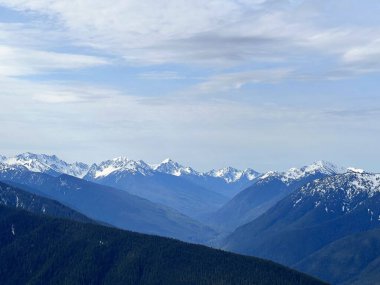 Ağaçlarla çevrili karlı bir dağ.