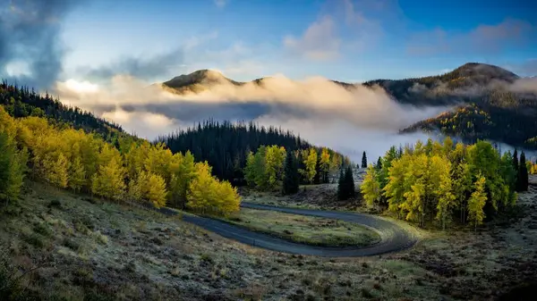 Winding Mountain Road Foggy Mountain Forests Background Colorado — Stock Photo, Image