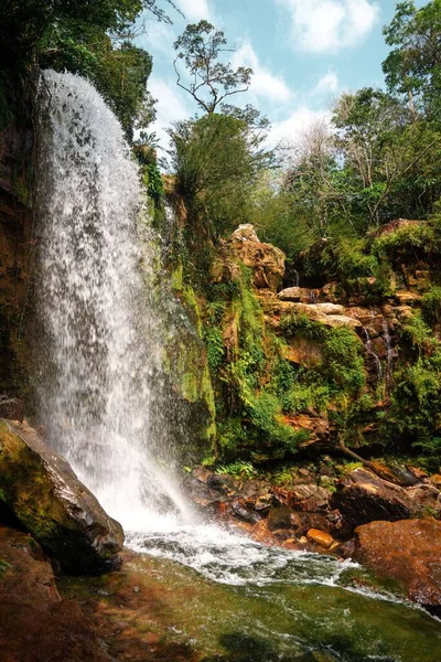 森の中の滝と熱帯の風景の垂直ショット — ストック写真