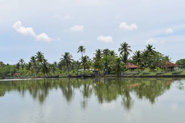 Tükörképe Pálmafák Házak Vízen Csónakokkal Munroe Island Kerala India — Stock Fotó
