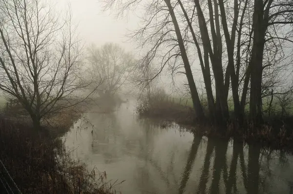川や木々が水面に映る霧の森の水平線 — ストック写真