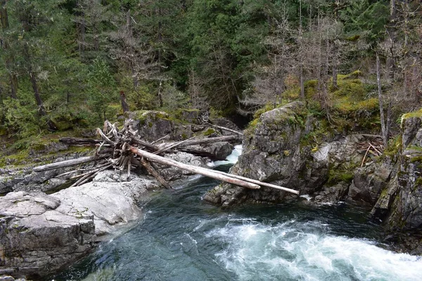 Ein Malerischer Blick Auf Einen Umgestürzten Baumstamm Über Einem Fluss — Stockfoto