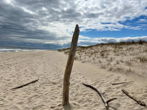 白色沙滩上的木制杆子 — 图库照片