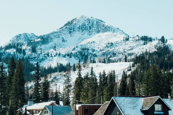 Vacker Utsikt Över Snöiga Berg Och Träd Med Hus Förgrunden — Stockfoto
