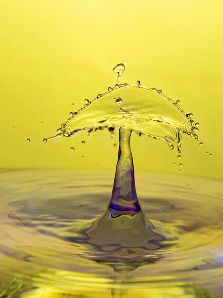 Water Drop Splash Mehrfarbig — Stockfoto