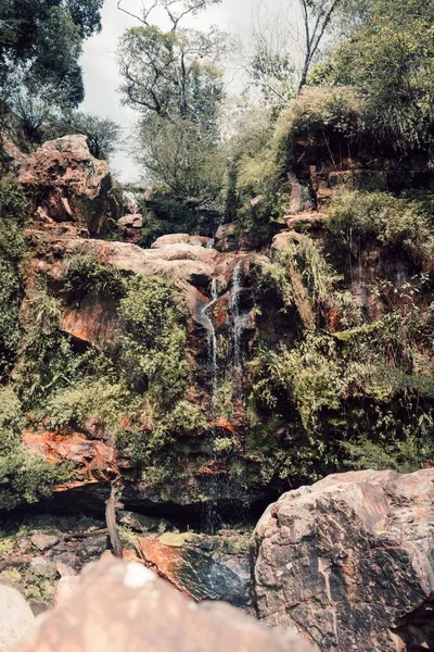 森の緑に覆われた岩の上を流れる水の垂直ショット — ストック写真