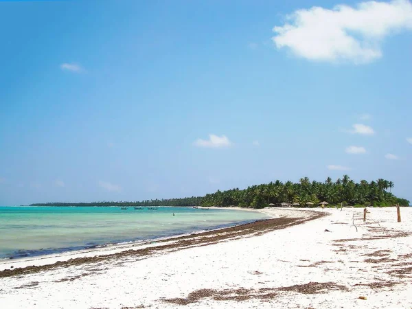Ein Tropischer Strand Mit Wäldern Ruhigen Meer — Stockfoto