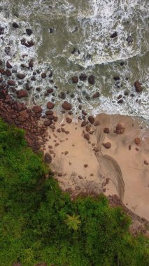 Görkemli bir kuş bakışı, yemyeşil bir çöl ile yumuşak bir deniz gelgiti arasındaki kumlu bir sahilin manzarası.